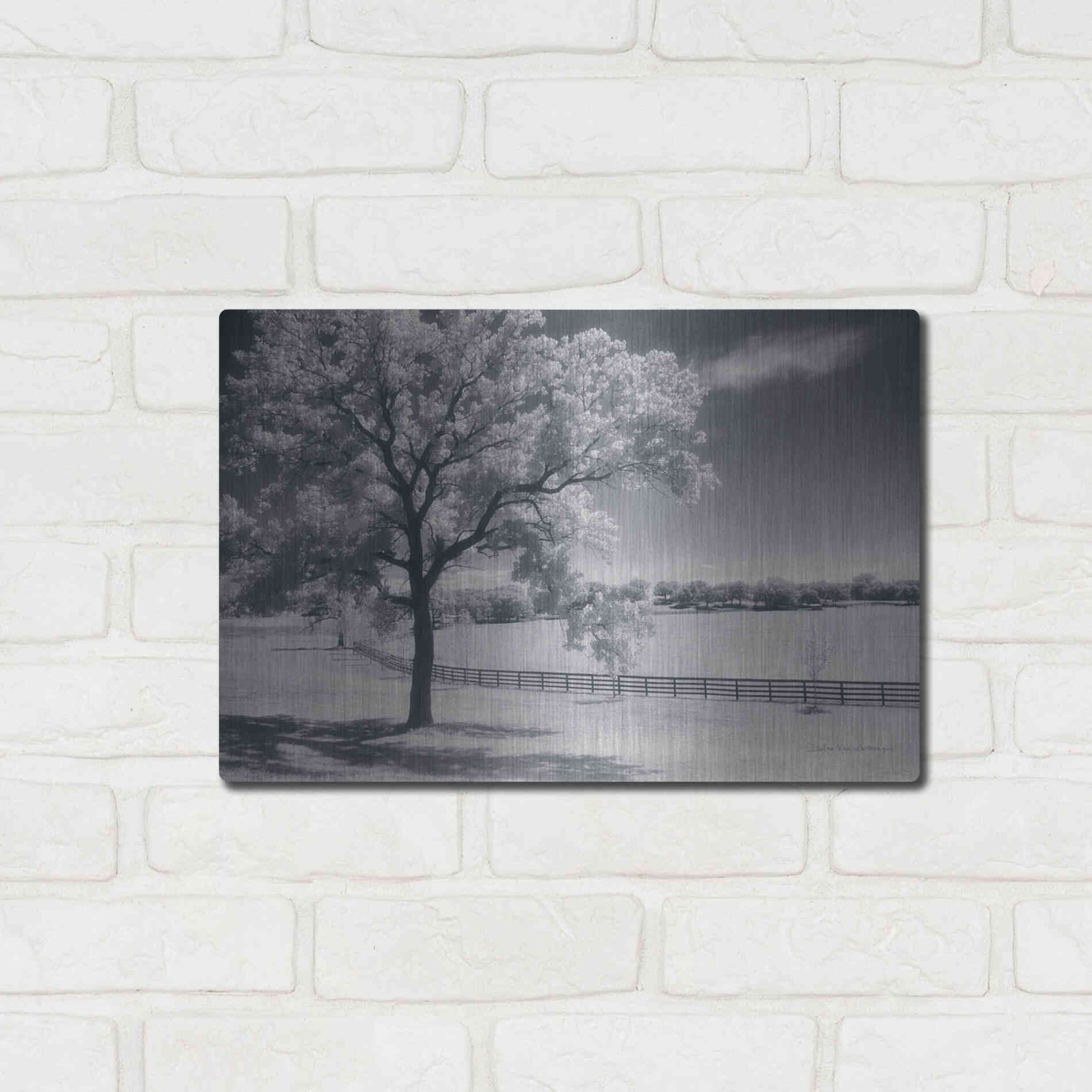 Luxe Metal Art 'Trees Fence II' by Debra Van Swearingen, Metal Wall Art,16x12