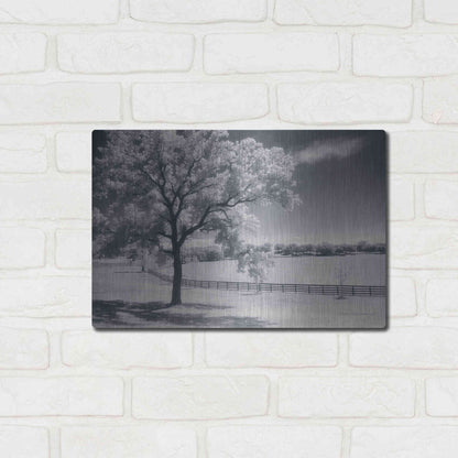 Luxe Metal Art 'Trees Fence II' by Debra Van Swearingen, Metal Wall Art,16x12