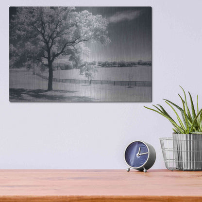 Luxe Metal Art 'Trees Fence II' by Debra Van Swearingen, Metal Wall Art,16x12