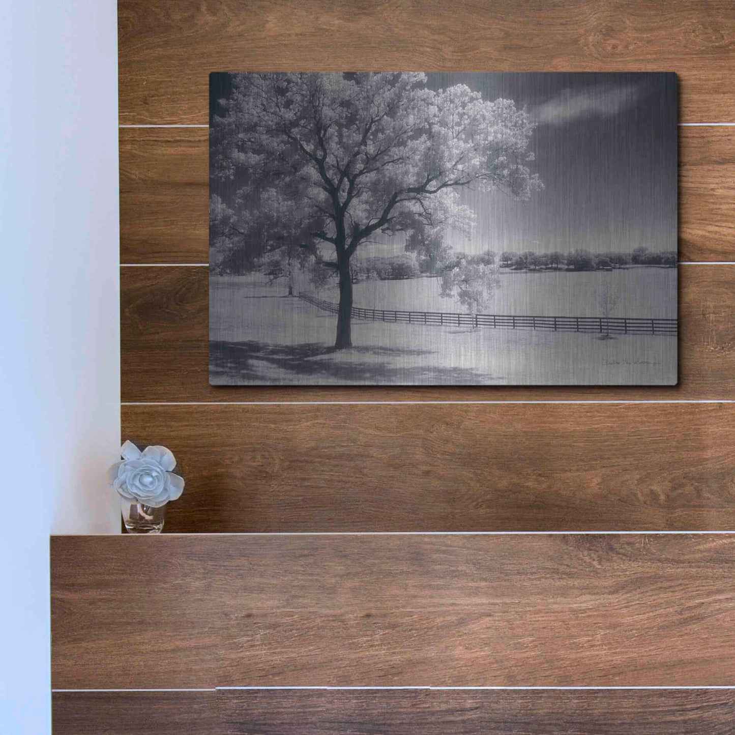 Luxe Metal Art 'Trees Fence II' by Debra Van Swearingen, Metal Wall Art,16x12