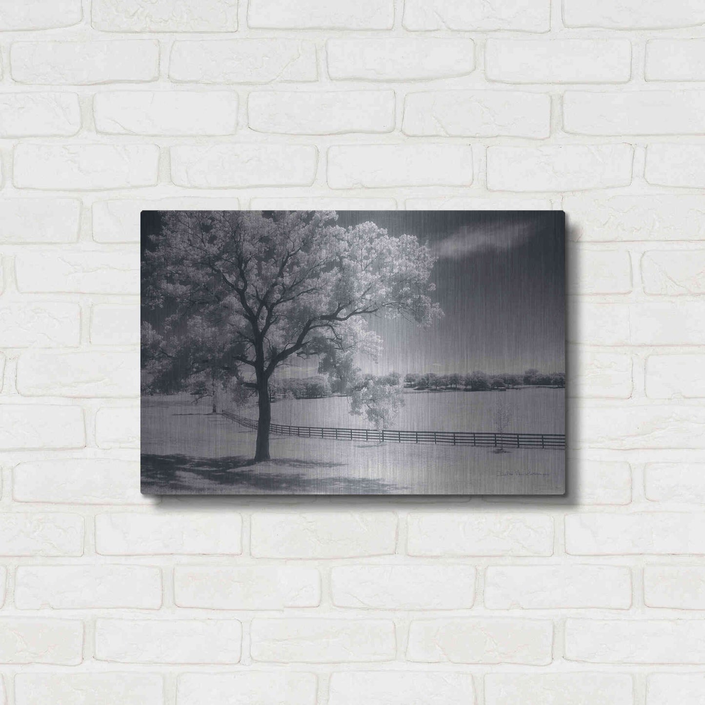 Luxe Metal Art 'Trees Fence II' by Debra Van Swearingen, Metal Wall Art,24x16