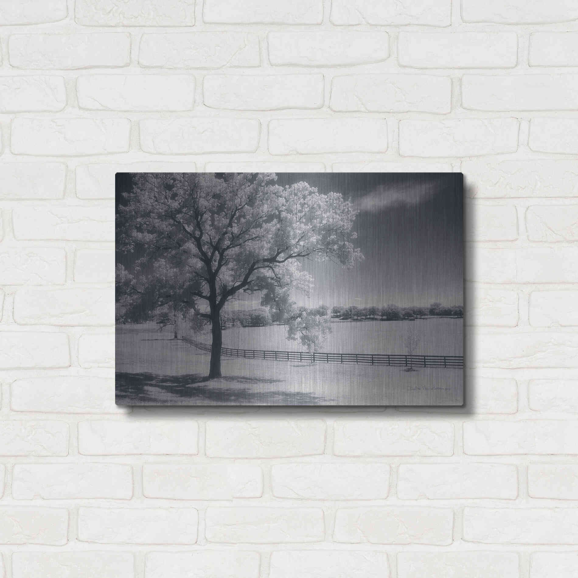 Luxe Metal Art 'Trees Fence II' by Debra Van Swearingen, Metal Wall Art,24x16