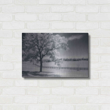 Luxe Metal Art 'Trees Fence II' by Debra Van Swearingen, Metal Wall Art,24x16