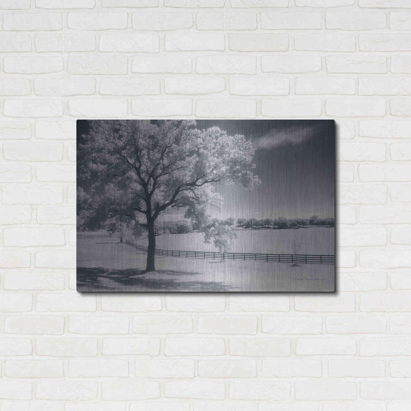 Luxe Metal Art 'Trees Fence II' by Debra Van Swearingen, Metal Wall Art,36x24