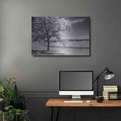 Luxe Metal Art 'Trees Fence II' by Debra Van Swearingen, Metal Wall Art,36x24