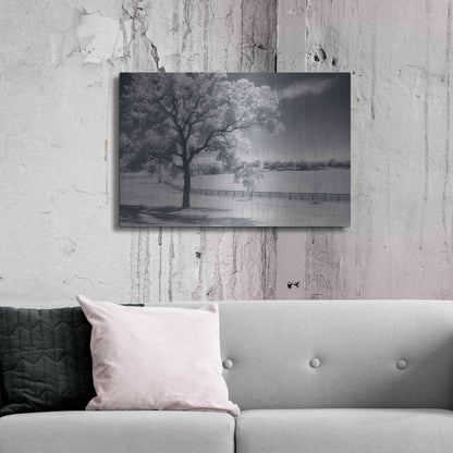 Luxe Metal Art 'Trees Fence II' by Debra Van Swearingen, Metal Wall Art,36x24