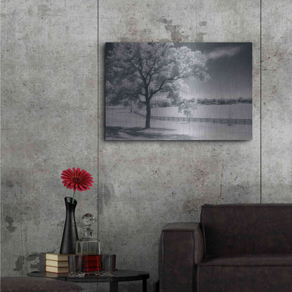 Luxe Metal Art 'Trees Fence II' by Debra Van Swearingen, Metal Wall Art,36x24