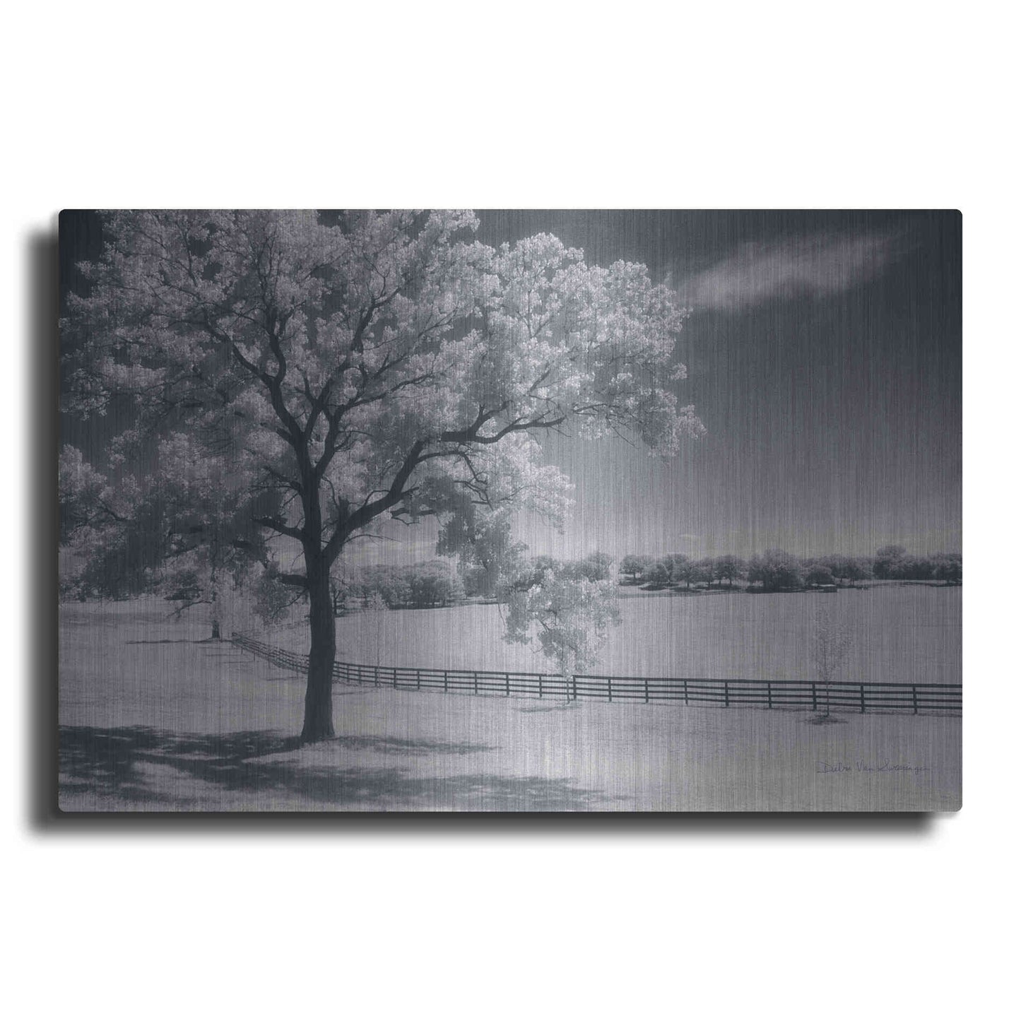 Luxe Metal Art 'Trees Fence II' by Debra Van Swearingen, Metal Wall Art
