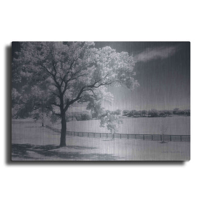 Luxe Metal Art 'Trees Fence II' by Debra Van Swearingen, Metal Wall Art