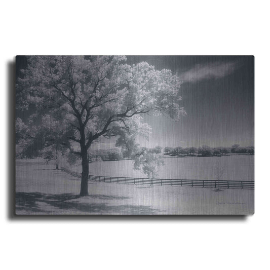 Luxe Metal Art 'Trees Fence II' by Debra Van Swearingen, Metal Wall Art