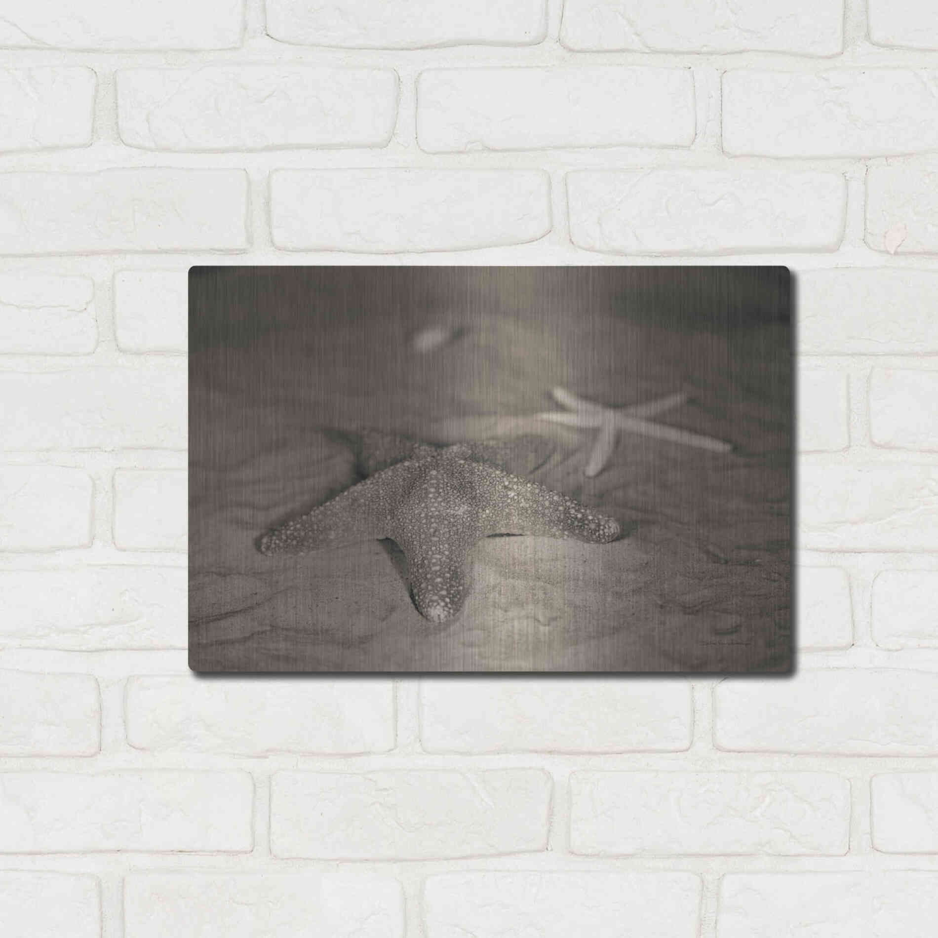 Luxe Metal Art 'Starfish II' by Debra Van Swearingen, Metal Wall Art,16x12
