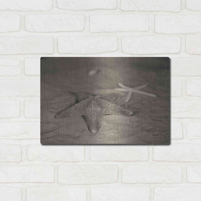 Luxe Metal Art 'Starfish II' by Debra Van Swearingen, Metal Wall Art,16x12