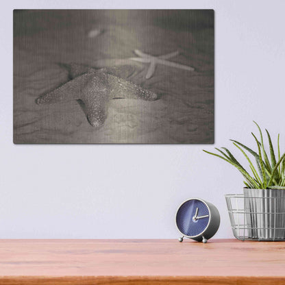 Luxe Metal Art 'Starfish II' by Debra Van Swearingen, Metal Wall Art,16x12