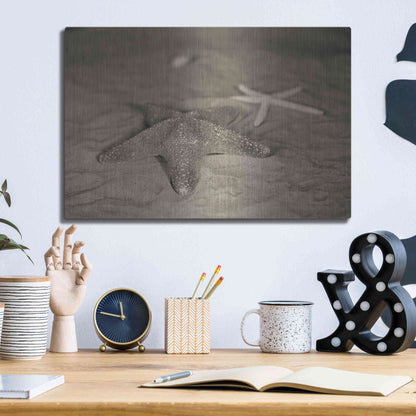 Luxe Metal Art 'Starfish II' by Debra Van Swearingen, Metal Wall Art,16x12