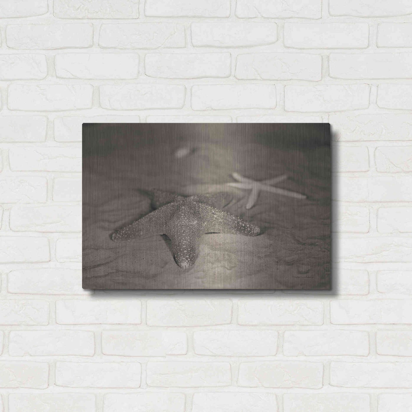 Luxe Metal Art 'Starfish II' by Debra Van Swearingen, Metal Wall Art,24x16