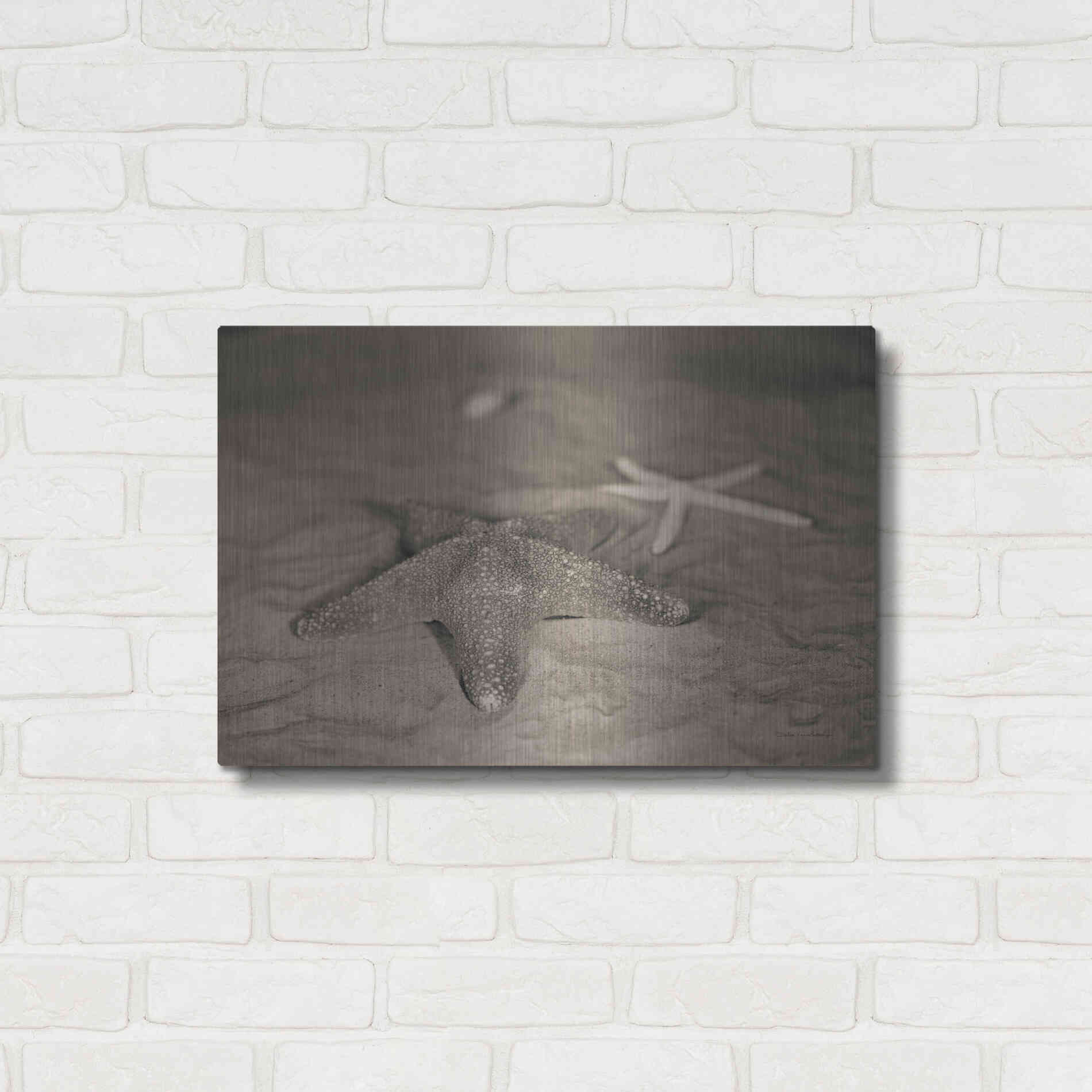 Luxe Metal Art 'Starfish II' by Debra Van Swearingen, Metal Wall Art,24x16