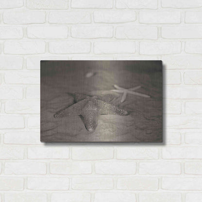 Luxe Metal Art 'Starfish II' by Debra Van Swearingen, Metal Wall Art,24x16