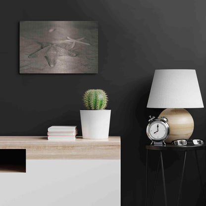 Luxe Metal Art 'Starfish II' by Debra Van Swearingen, Metal Wall Art,24x16