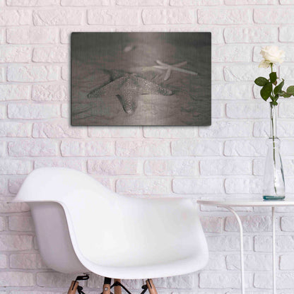 Luxe Metal Art 'Starfish II' by Debra Van Swearingen, Metal Wall Art,24x16