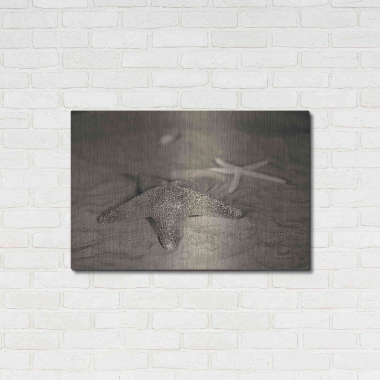 Luxe Metal Art 'Starfish II' by Debra Van Swearingen, Metal Wall Art,36x24