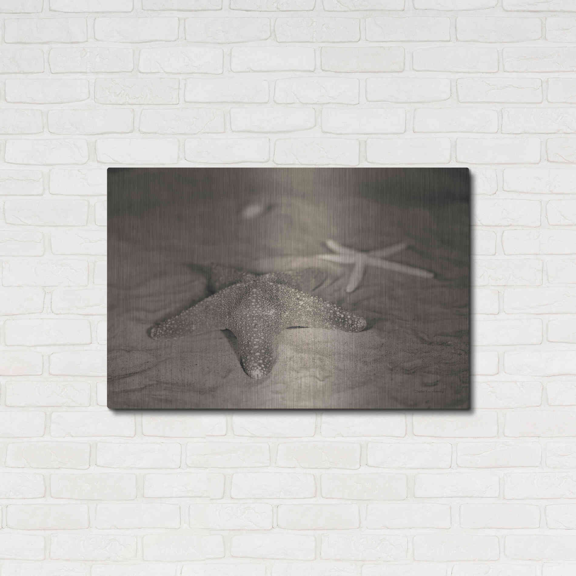 Luxe Metal Art 'Starfish II' by Debra Van Swearingen, Metal Wall Art,36x24