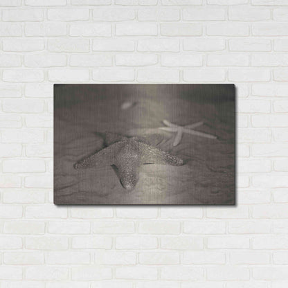 Luxe Metal Art 'Starfish II' by Debra Van Swearingen, Metal Wall Art,36x24