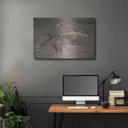 Luxe Metal Art 'Starfish II' by Debra Van Swearingen, Metal Wall Art,36x24