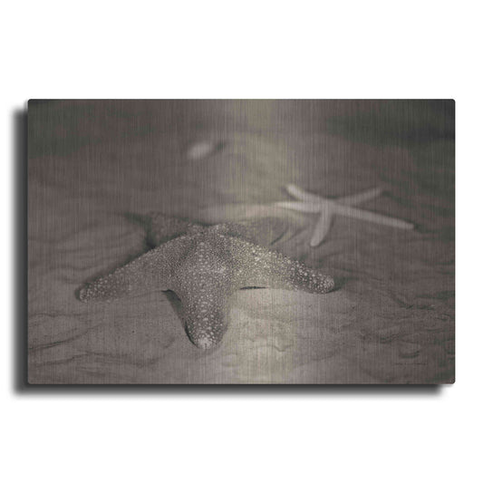 Luxe Metal Art 'Starfish II' by Debra Van Swearingen, Metal Wall Art
