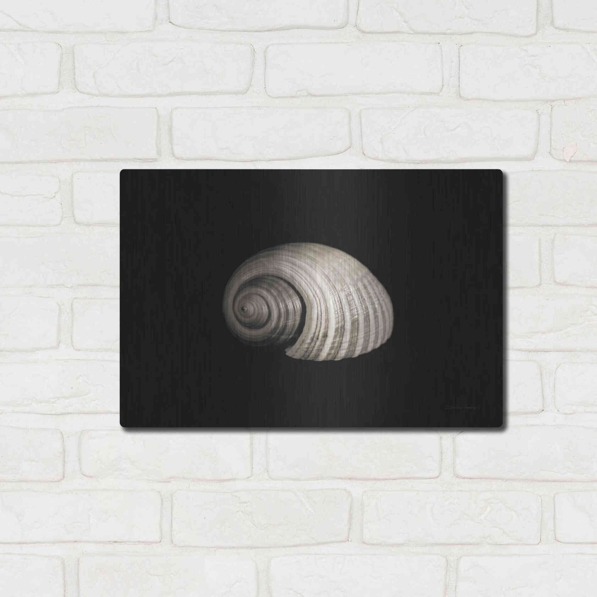 Luxe Metal Art 'Tonna' by Debra Van Swearingen, Metal Wall Art,16x12