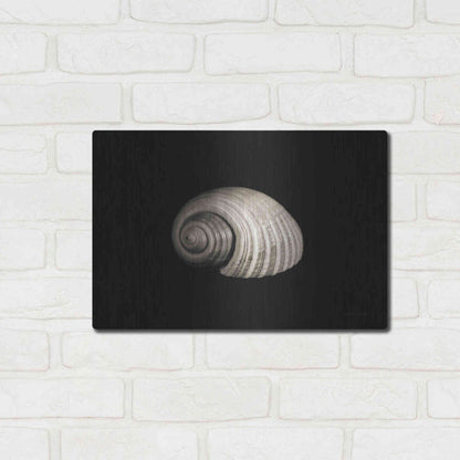 Luxe Metal Art 'Tonna' by Debra Van Swearingen, Metal Wall Art,16x12