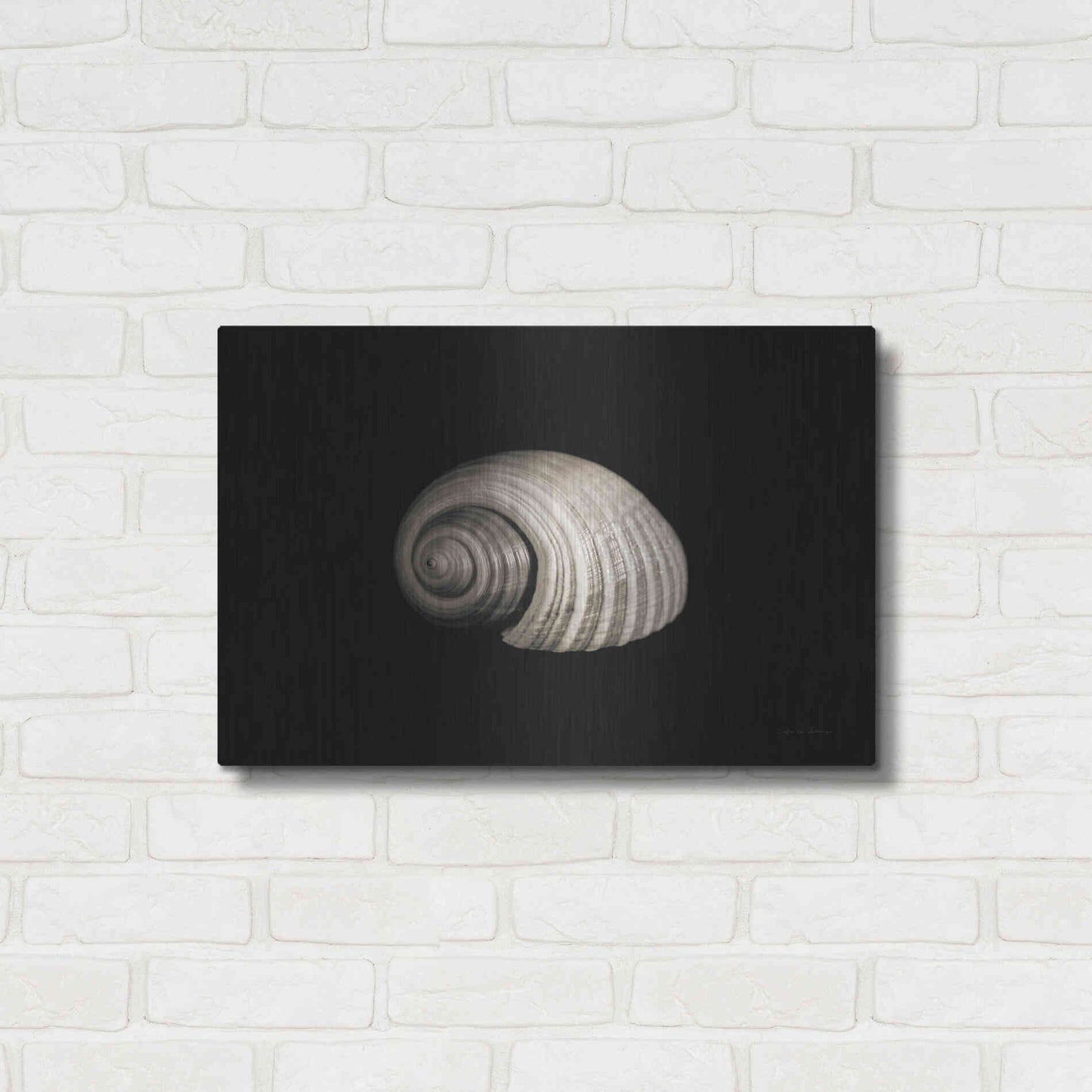 Luxe Metal Art 'Tonna' by Debra Van Swearingen, Metal Wall Art,24x16