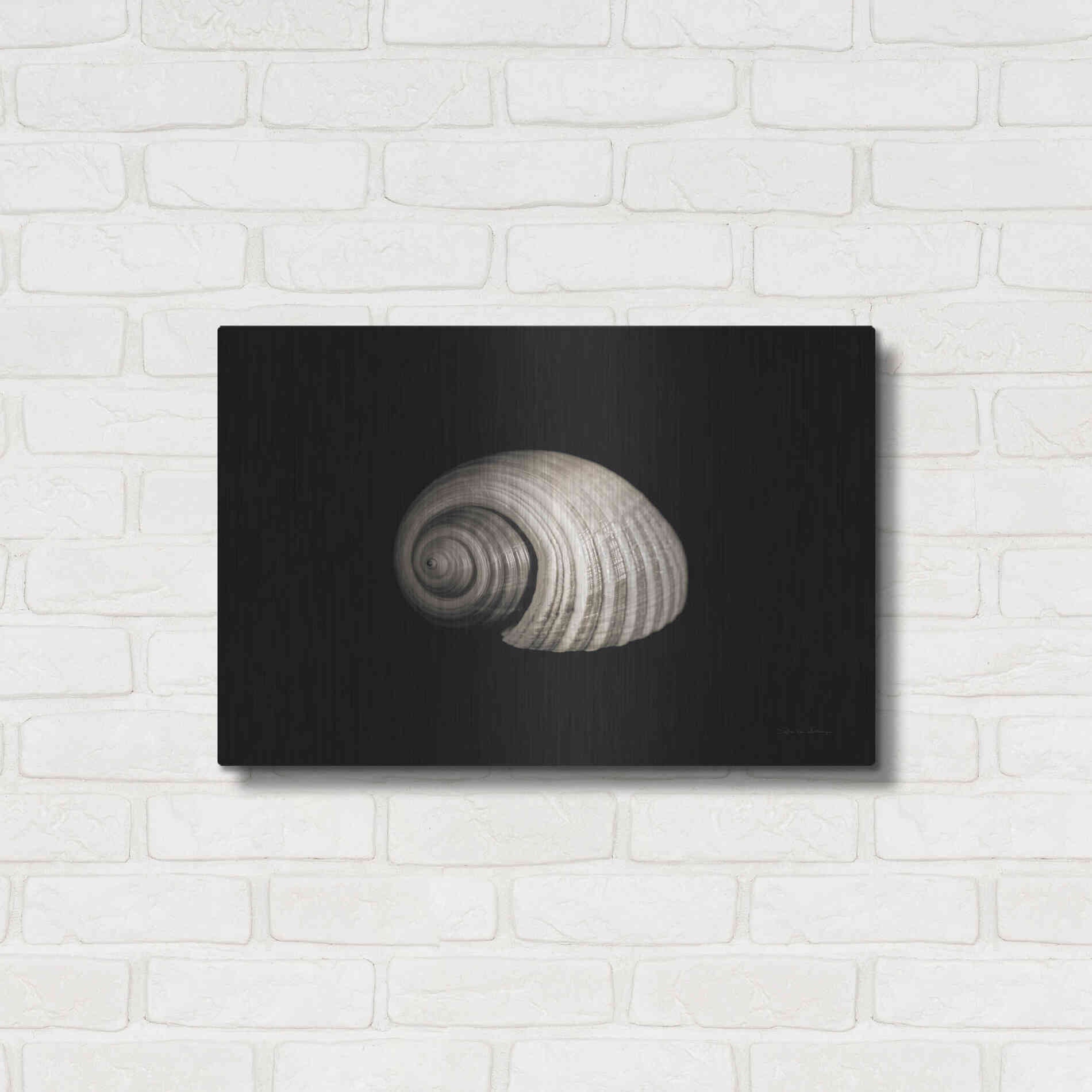 Luxe Metal Art 'Tonna' by Debra Van Swearingen, Metal Wall Art,24x16