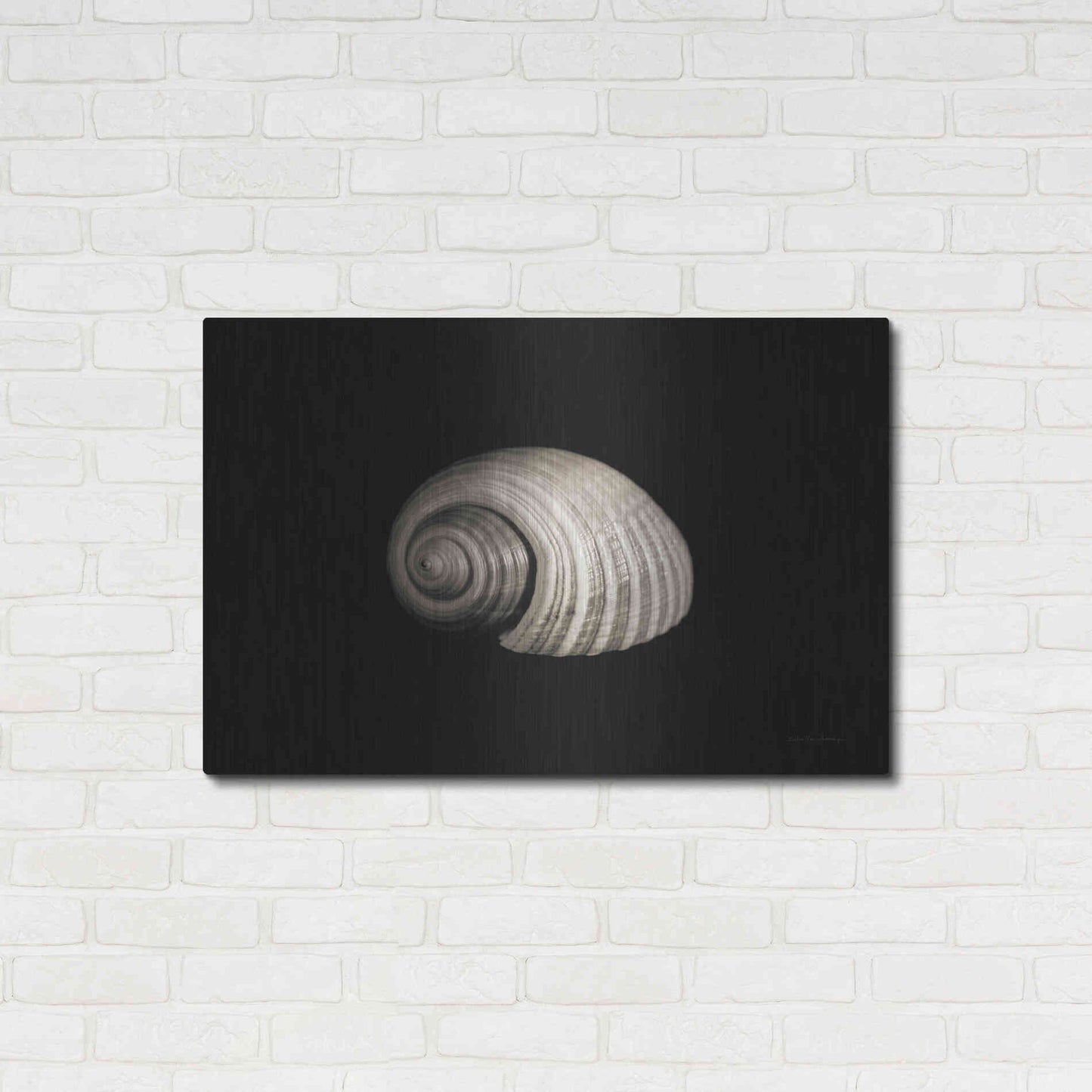 Luxe Metal Art 'Tonna' by Debra Van Swearingen, Metal Wall Art,36x24