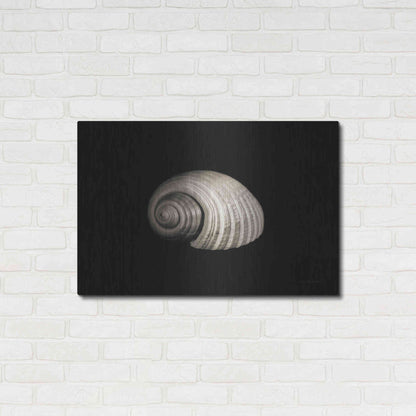 Luxe Metal Art 'Tonna' by Debra Van Swearingen, Metal Wall Art,36x24