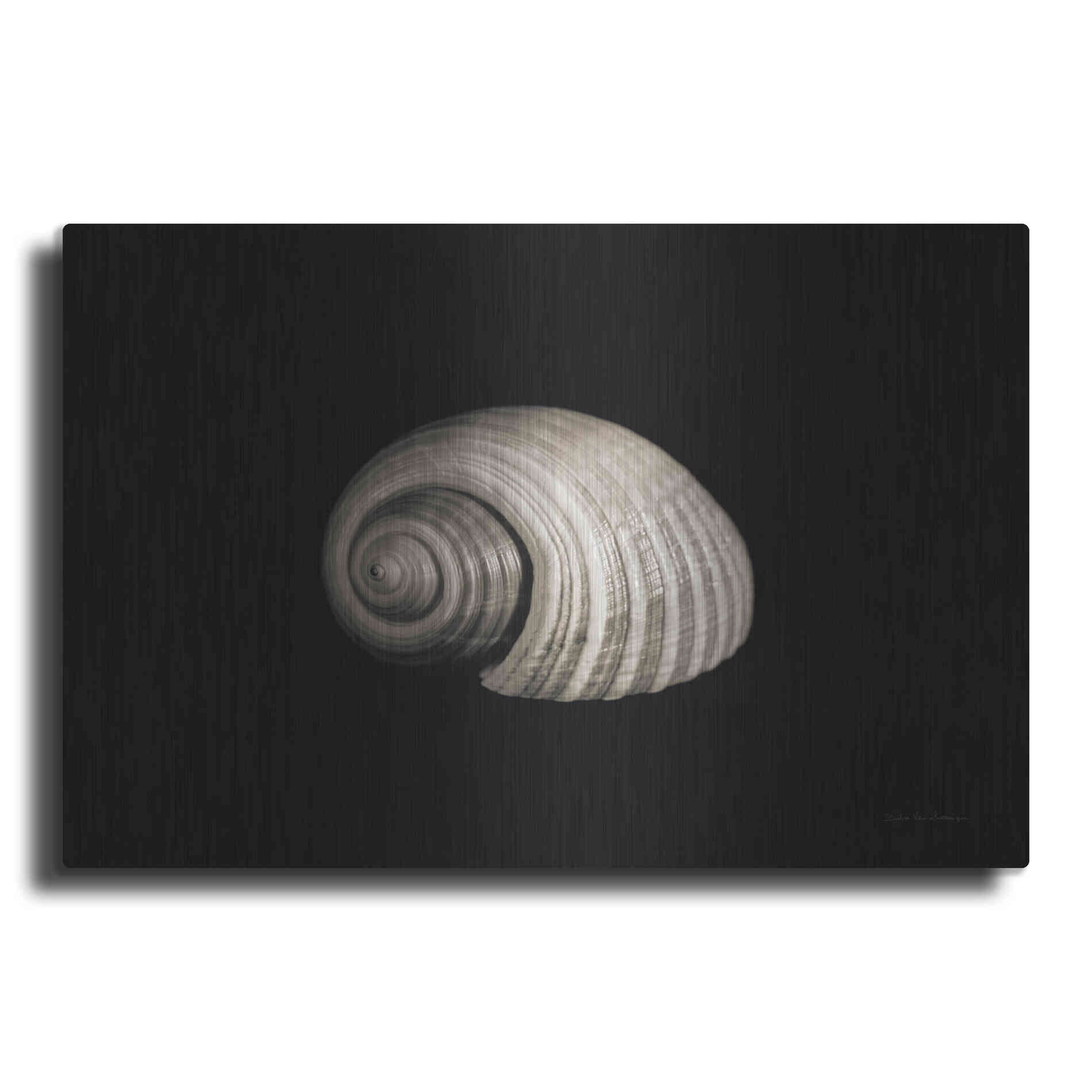 Luxe Metal Art 'Tonna' by Debra Van Swearingen, Metal Wall Art