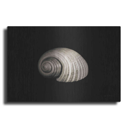 Luxe Metal Art 'Tonna' by Debra Van Swearingen, Metal Wall Art