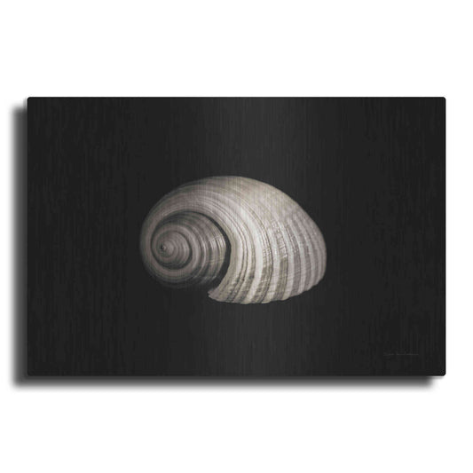 Luxe Metal Art 'Tonna' by Debra Van Swearingen, Metal Wall Art