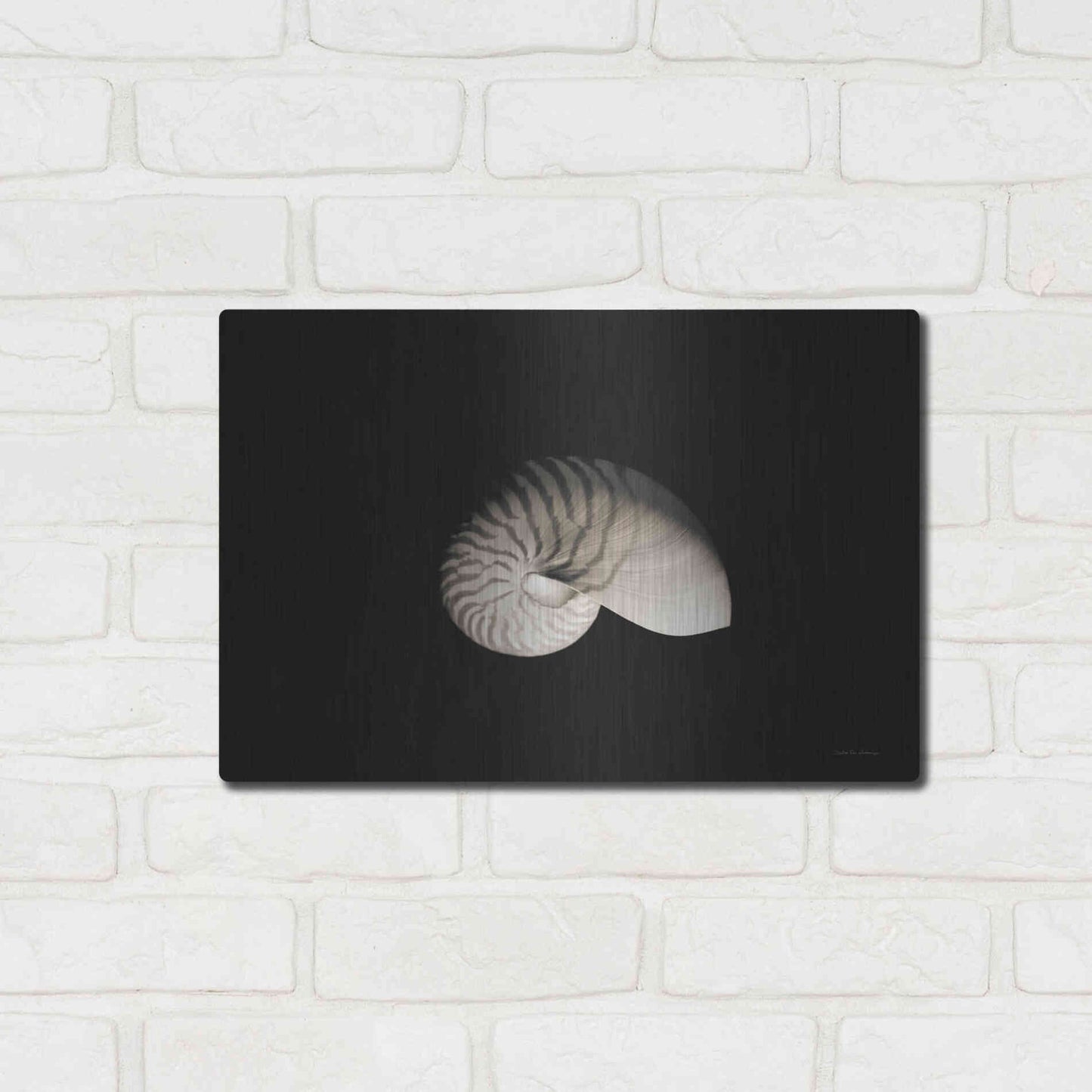 Luxe Metal Art 'Nautilus I' by Debra Van Swearingen, Metal Wall Art,16x12