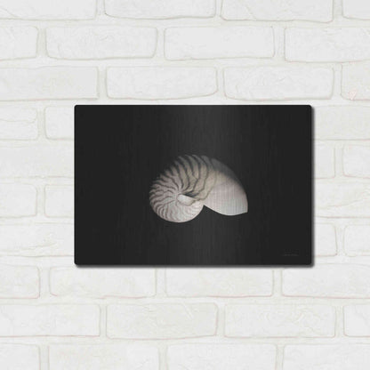 Luxe Metal Art 'Nautilus I' by Debra Van Swearingen, Metal Wall Art,16x12