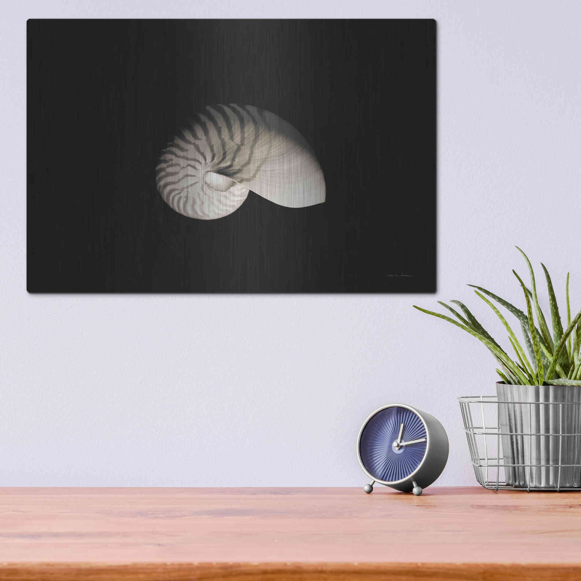 Luxe Metal Art 'Nautilus I' by Debra Van Swearingen, Metal Wall Art,16x12