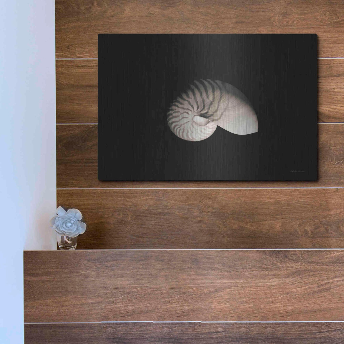 Luxe Metal Art 'Nautilus I' by Debra Van Swearingen, Metal Wall Art,16x12