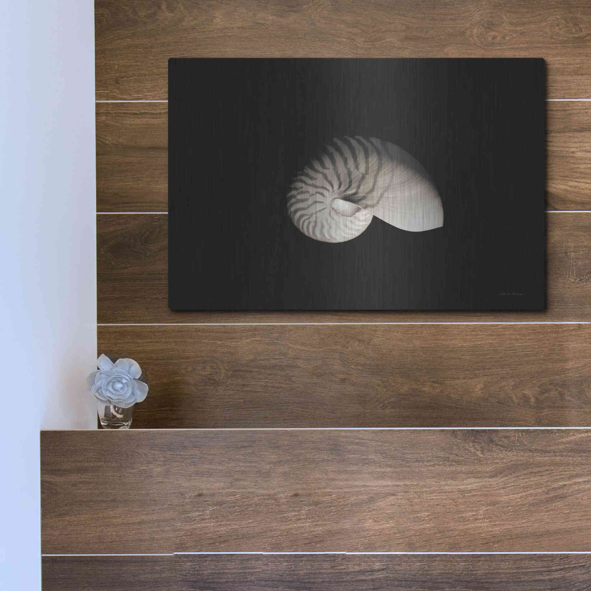 Luxe Metal Art 'Nautilus I' by Debra Van Swearingen, Metal Wall Art,16x12