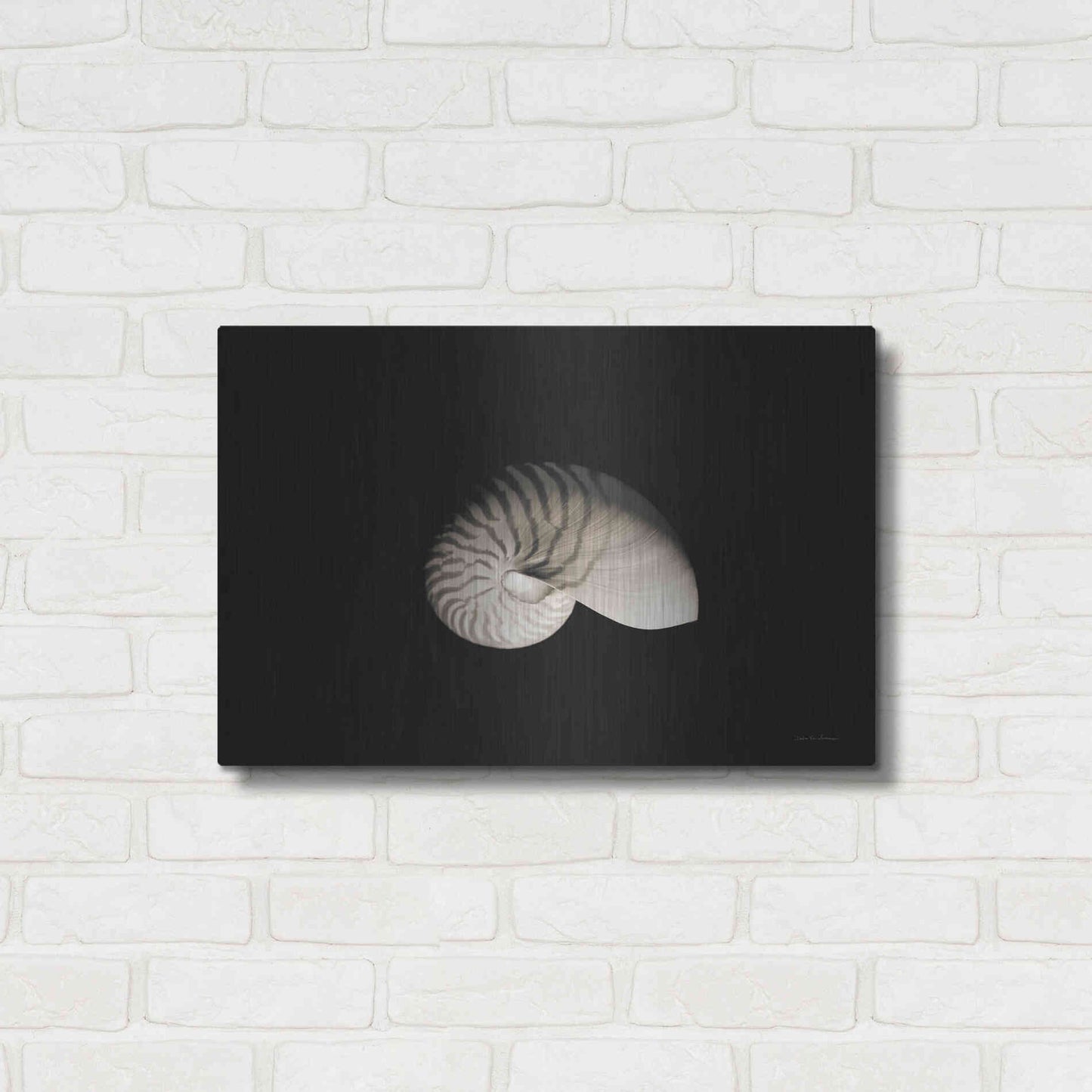 Luxe Metal Art 'Nautilus I' by Debra Van Swearingen, Metal Wall Art,24x16