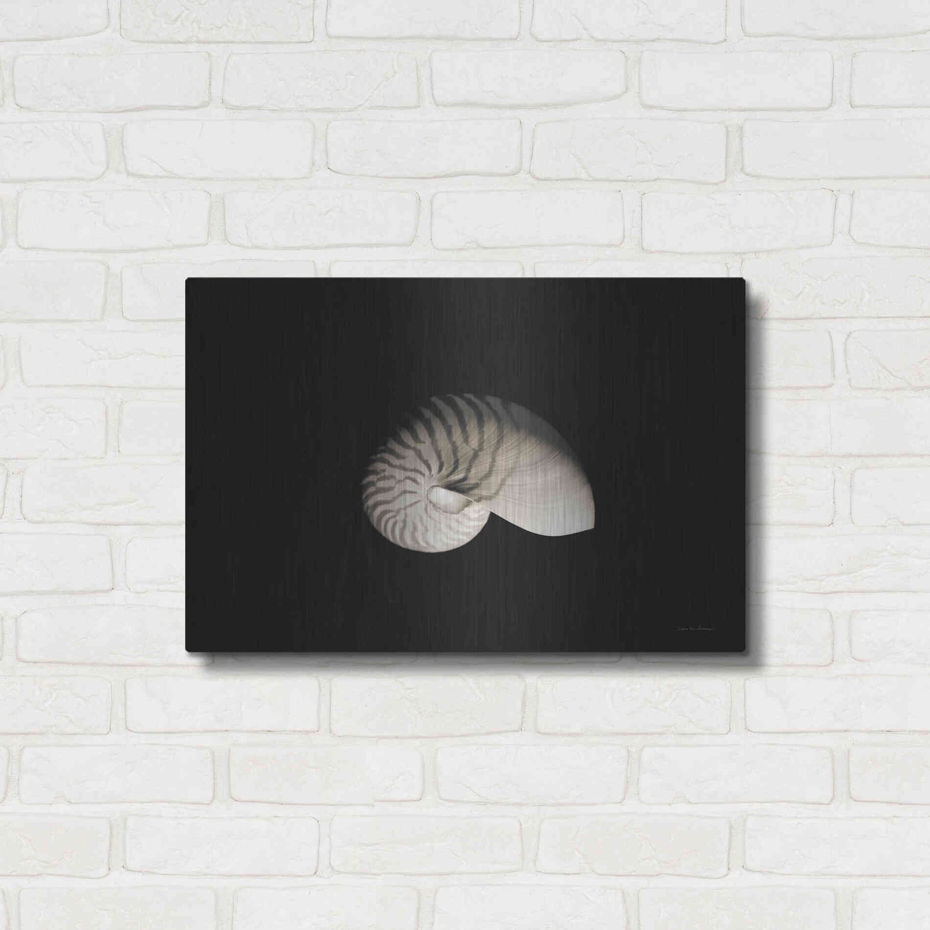 Luxe Metal Art 'Nautilus I' by Debra Van Swearingen, Metal Wall Art,24x16