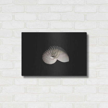 Luxe Metal Art 'Nautilus I' by Debra Van Swearingen, Metal Wall Art,24x16