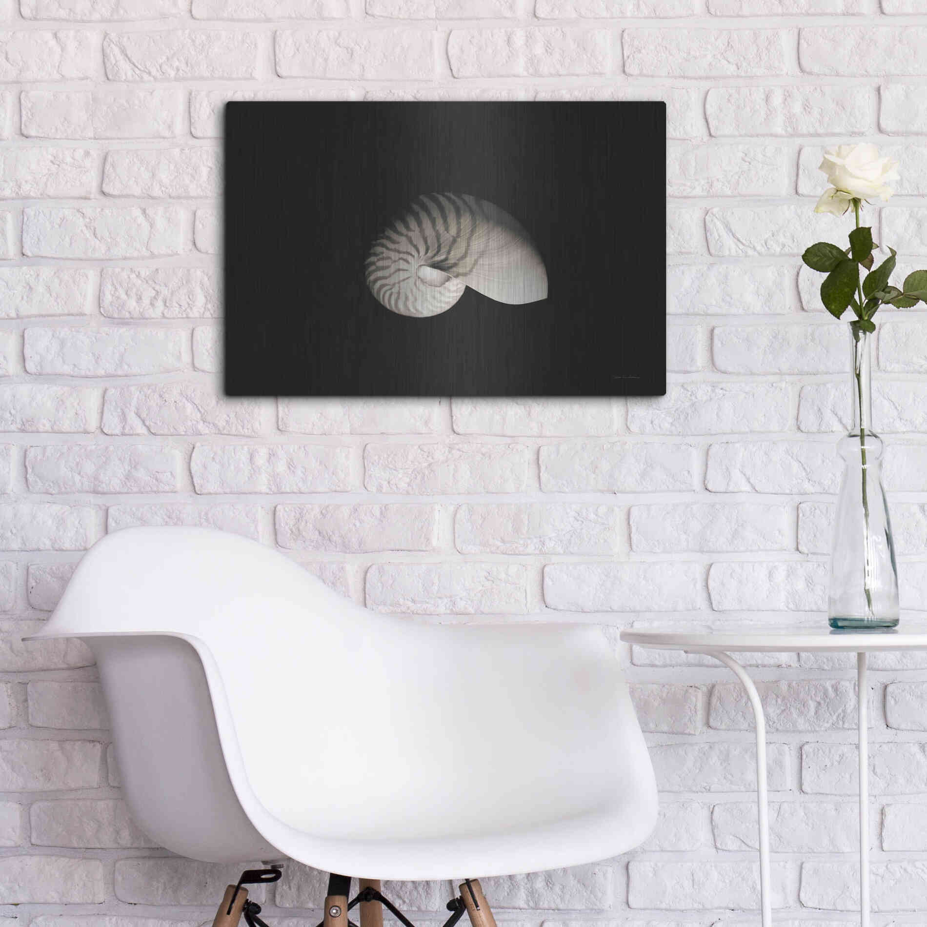 Luxe Metal Art 'Nautilus I' by Debra Van Swearingen, Metal Wall Art,24x16