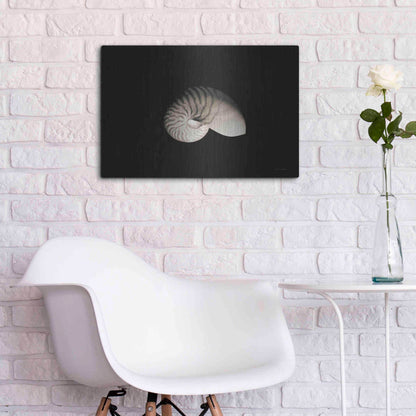 Luxe Metal Art 'Nautilus I' by Debra Van Swearingen, Metal Wall Art,24x16