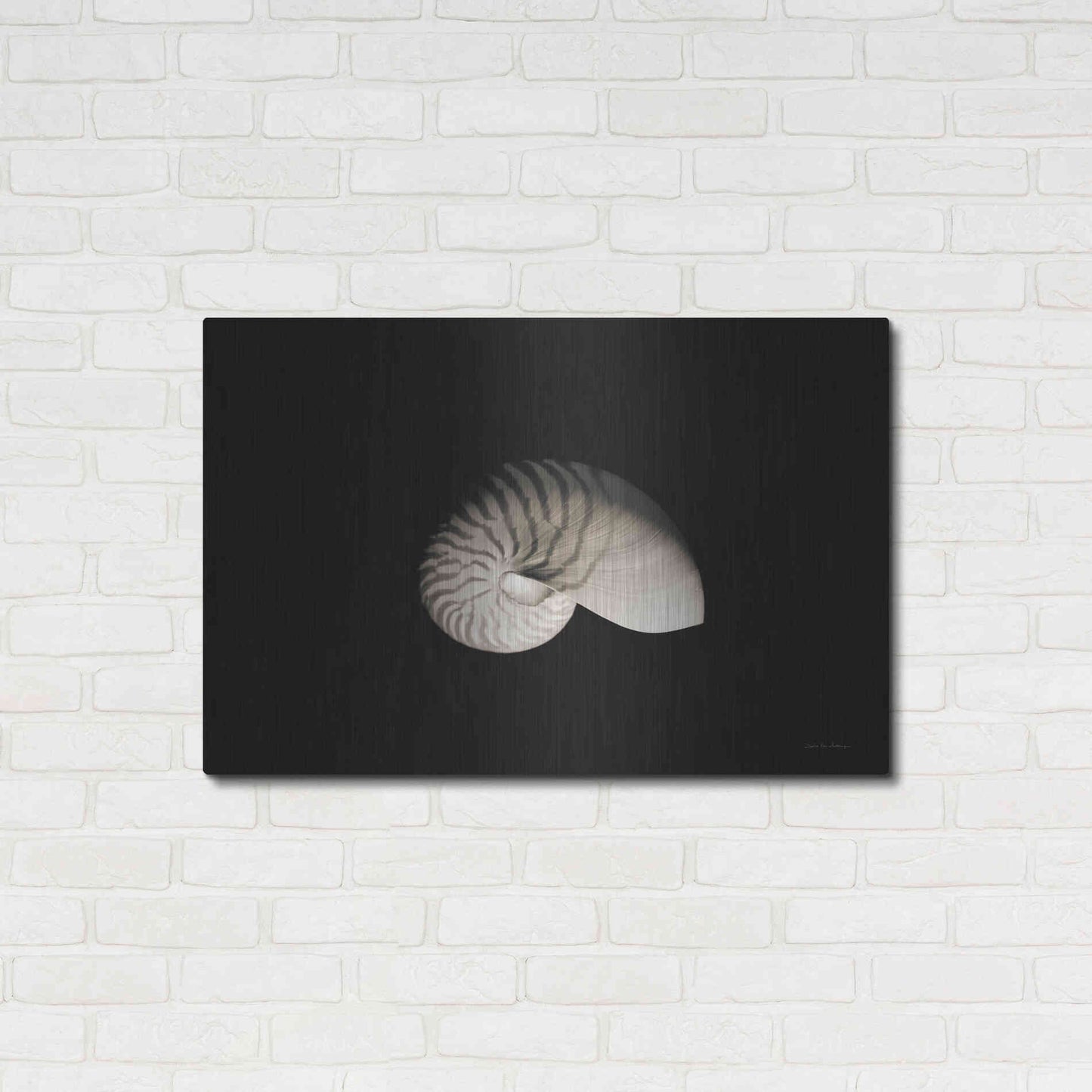 Luxe Metal Art 'Nautilus I' by Debra Van Swearingen, Metal Wall Art,36x24