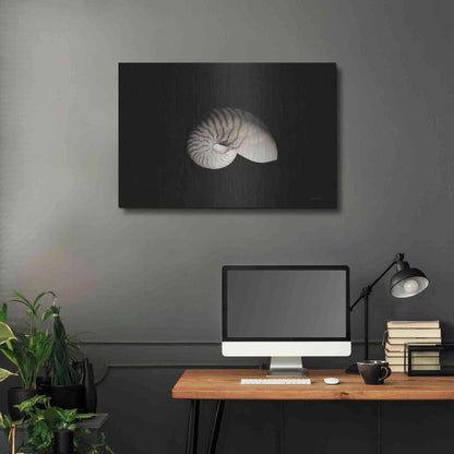 Luxe Metal Art 'Nautilus I' by Debra Van Swearingen, Metal Wall Art,36x24