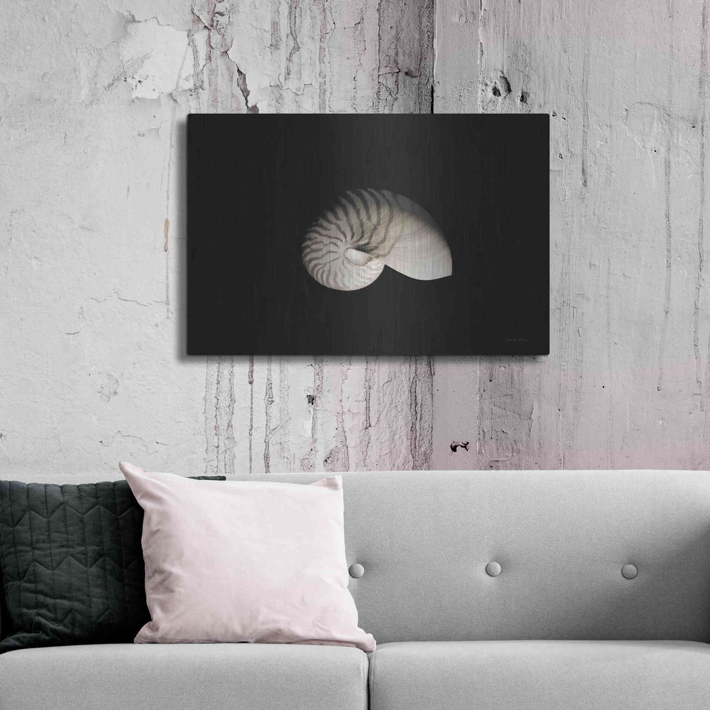Luxe Metal Art 'Nautilus I' by Debra Van Swearingen, Metal Wall Art,36x24